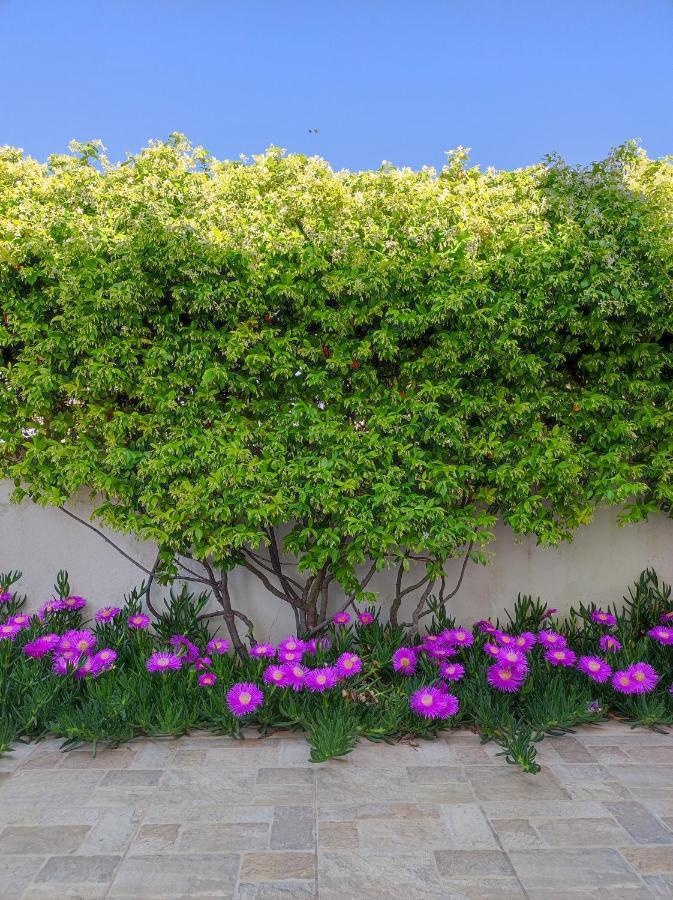 Terra Dei Plautii Villa Pulsano Ngoại thất bức ảnh